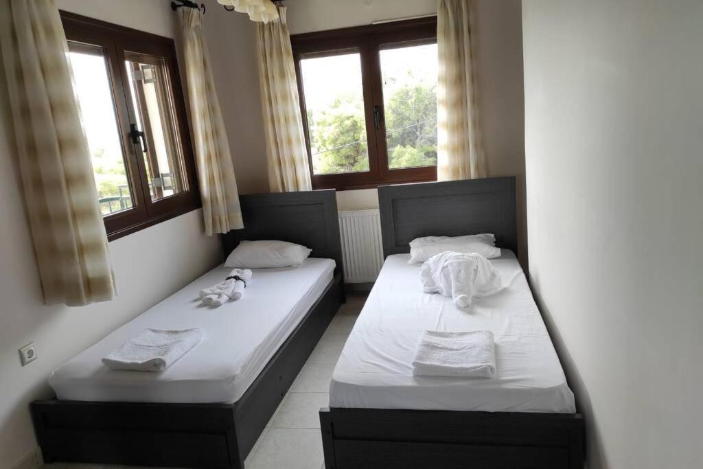 Вілла Artemis Penthouse 10 Minute From National Airport Екстер'єр фото