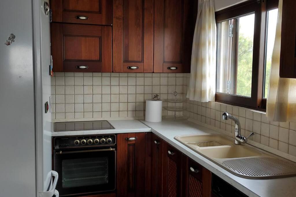 Вілла Artemis Penthouse 10 Minute From National Airport Екстер'єр фото